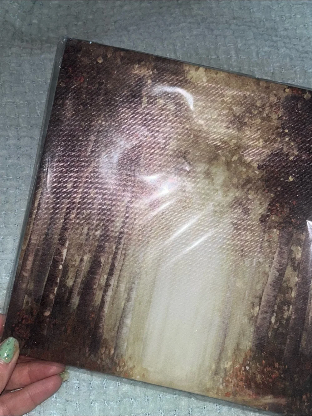 Neutral Brown Forest Canvas Wall Art NWT
